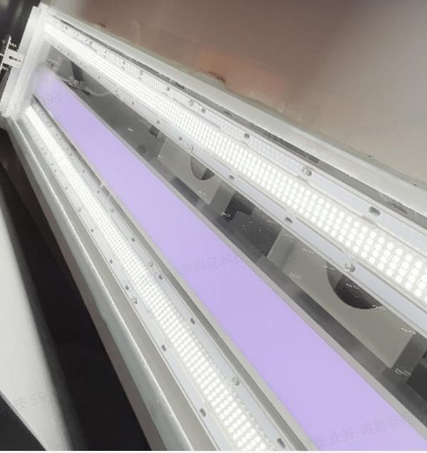 LED 광원